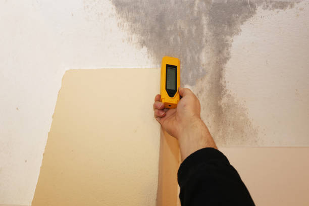 Best Mold Removal for HVAC Installations  in Leavittsburg, OH